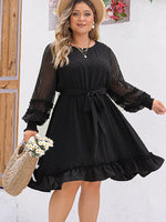 Plus Size Swiss Dot Round Neck Long Sleeve Dress