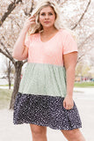 Plus Size Floral Color Block Shift Dress