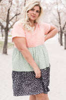 Plus Size Floral Color Block Shift Dress