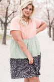 Plus Size Floral Color Block Shift Dress