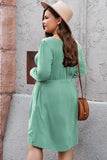 Button Front Elastic Waist Long Sleeve Dress